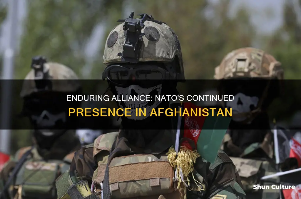 how many nato soldiers in afghanistan