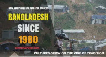 Bangladesh's Battle: Natural Disasters Since 1980 - A Comprehensive Overview