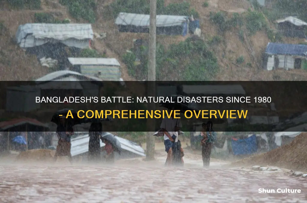 how many natural disaster striked bangladesh since 1980