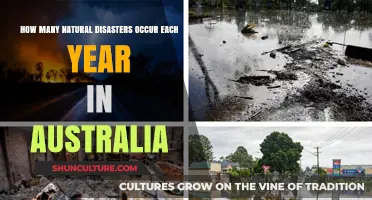 Australia's Annual Natural Disaster Count: Frequency and Impact Revealed