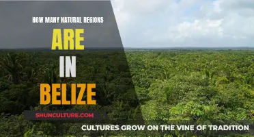 Belize's Natural Regions: A Diverse Country