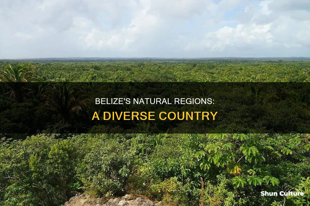 how many natural regions are in belize