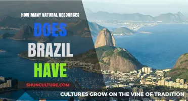 Brazil's Natural Resources: Exploring the Nation's Abundant Wealth and Diversity