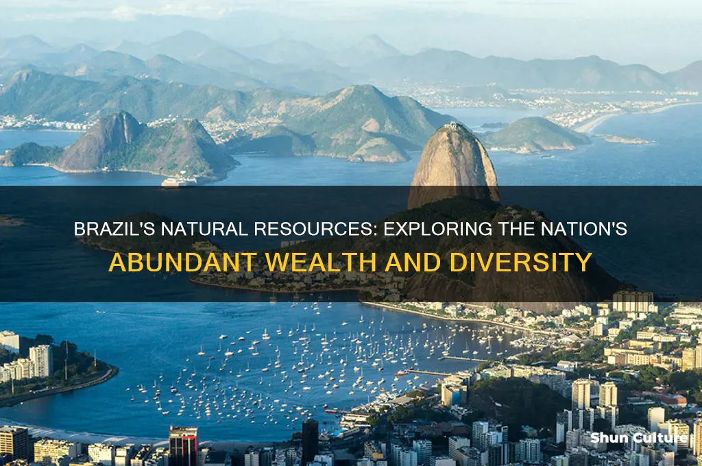 how many natural resources does brazil have