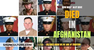 The Toll of War: Remembering Fallen Navy Heroes in Afghanistan