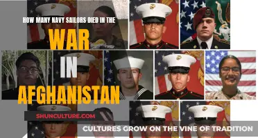 Afghan War's Toll on US Navy Sailors: A Human Cost