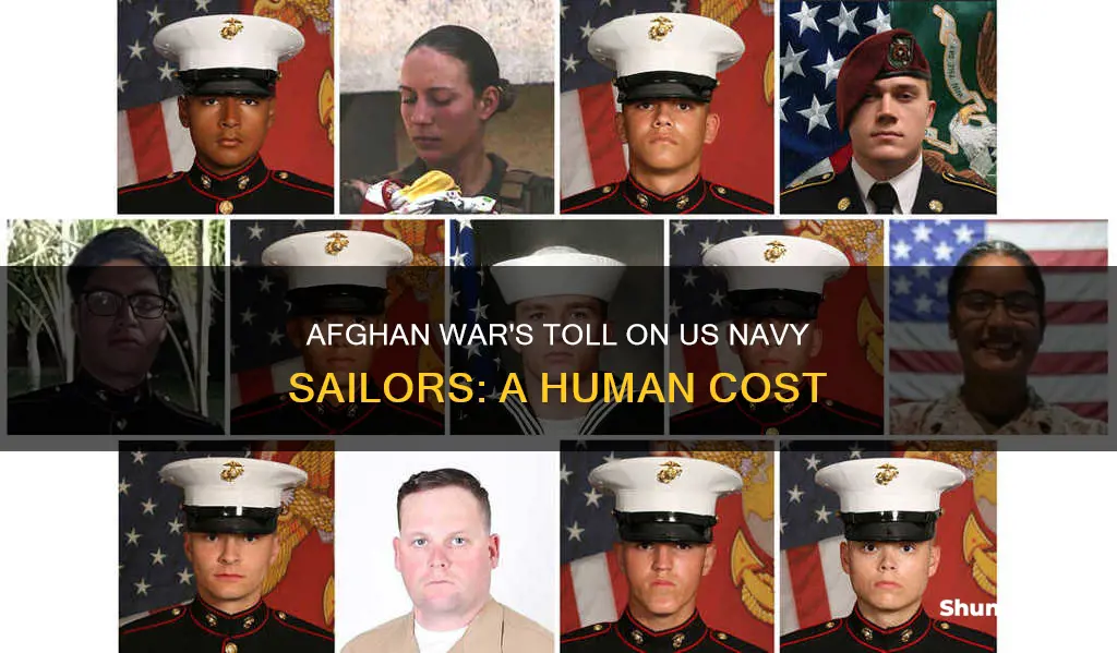 how many navy sailors died in the war in afghanistan