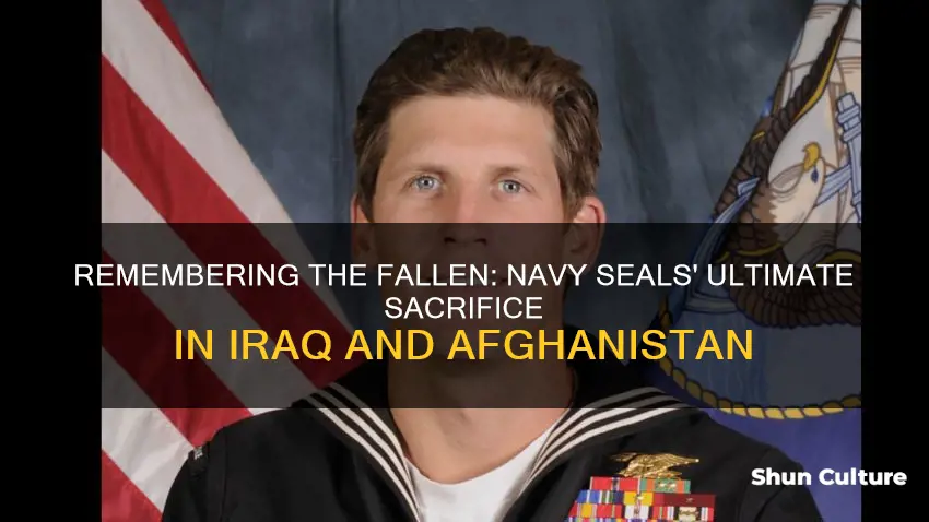 how many navy seals died in iraq and afghanistan