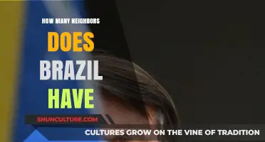Exploring Brazil's Borders: How Many Countries Neighbor This South American Giant?