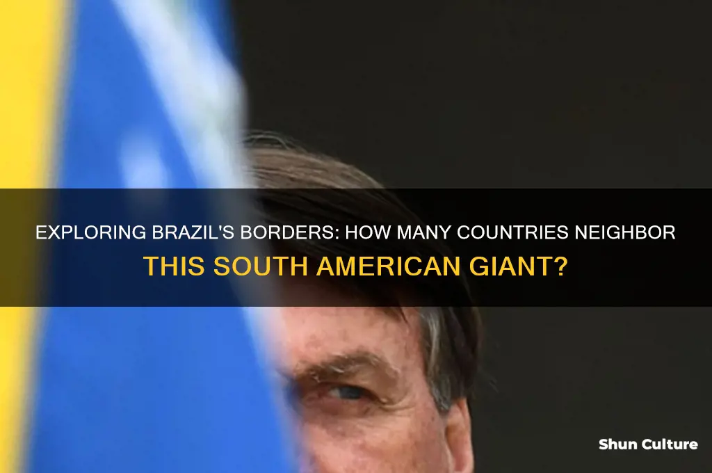 how many neighbors does brazil have