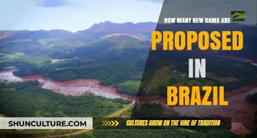 Brazil's Proposed Dams: A Look at New Infrastructure Projects