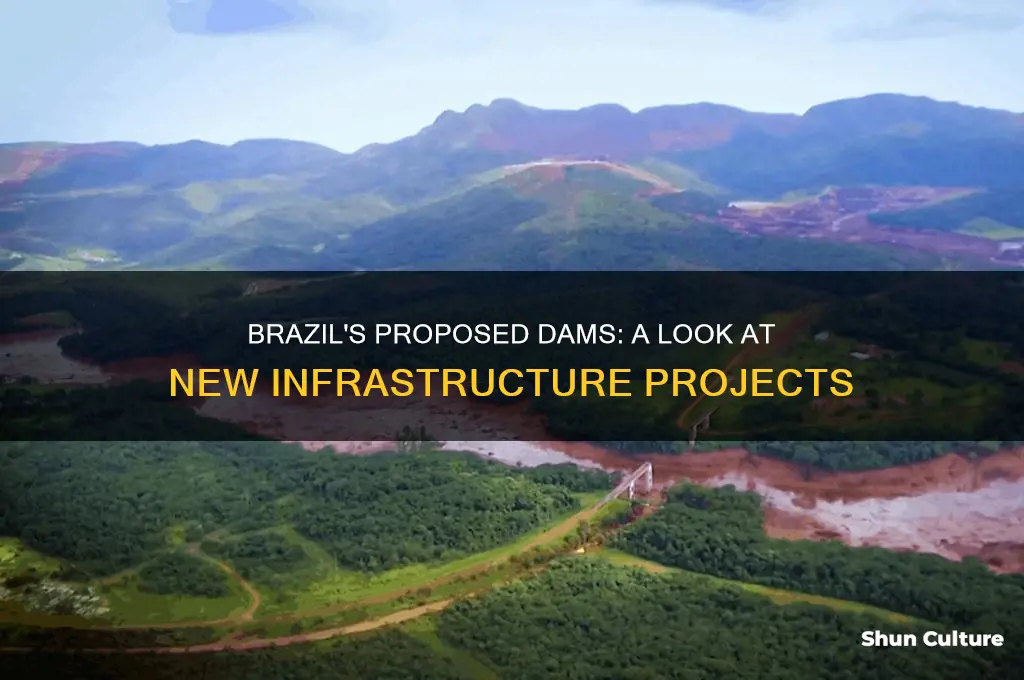 how many new dams are proposed in brazil