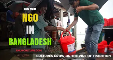 Exploring the Vast Network of NGOs Operating in Bangladesh Today