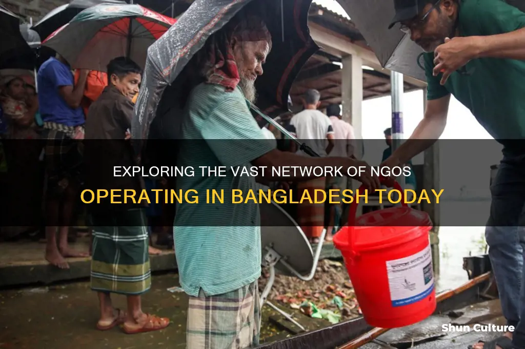 how many ngo in bangladesh