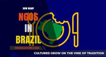 Exploring Brazil's NGO Landscape: Count, Impact, and Community Reach