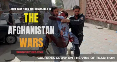 The Human Cost of War: Examining the Toll on Non-Americans in Afghanistan