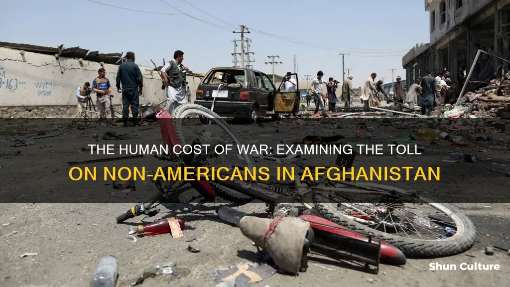 how many non americans died in the afghanistan wars