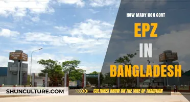 Exploring Bangladesh's Non-Government EPZ Count and Economic Impact