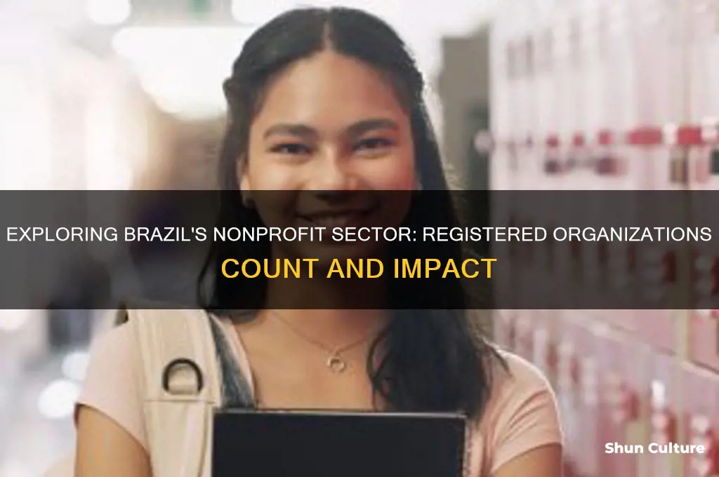 how many nonprofit organizations registered in brazil