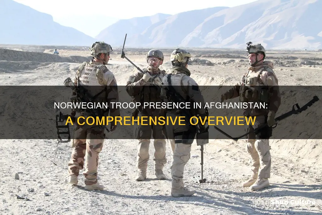 how many norwegian soldiers are in afghanistan