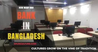 Exploring the Number of NRB Banks Operating in Bangladesh