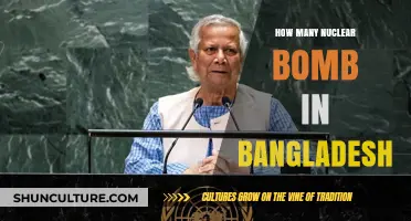 Bangladesh's Nuclear Capabilities: Unveiling the Truth About Atomic Weapons