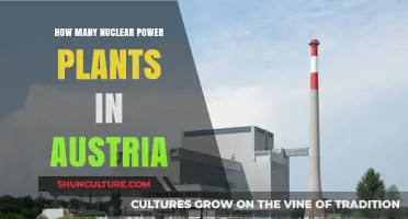 Austria's Nuclear Power: A Comprehensive Overview