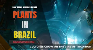 Brazil's Nuclear Energy Landscape: Counting the Power Plants