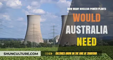 Australia's Nuclear Power Potential: Estimating Required Plant Numbers