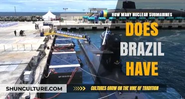 Brazil's Nuclear Submarine Fleet: Current Status and Capabilities