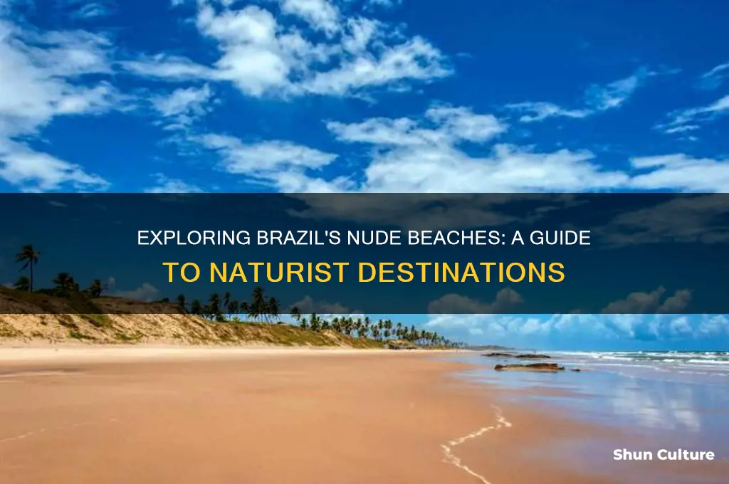 how many nude beaches does brazil have