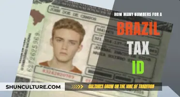 Understanding Brazil's Tax ID: How Many Numbers Are Required?