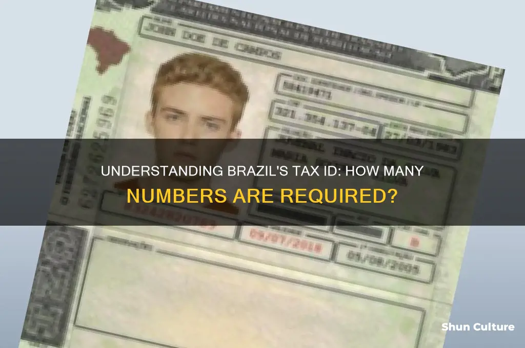 how many numbers for a brazil tax id