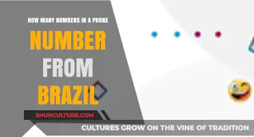 Understanding Brazil's Phone Number Format: How Many Digits Are There?