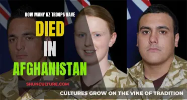 A Grim Toll: Fallen Kiwis in Afghanistan