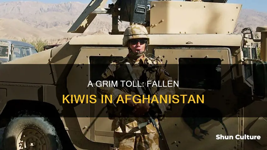 how many nz troops have died in afghanistan