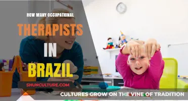 Occupational Therapy Workforce in Brazil: Numbers and Insights