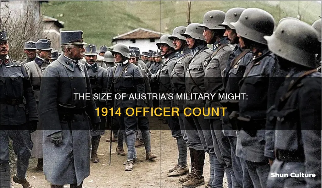 how many officer did austrian army have in 1914