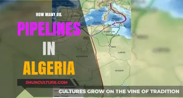 Exploring Algeria's Oil Infrastructure: Pipeline Network and Count Revealed