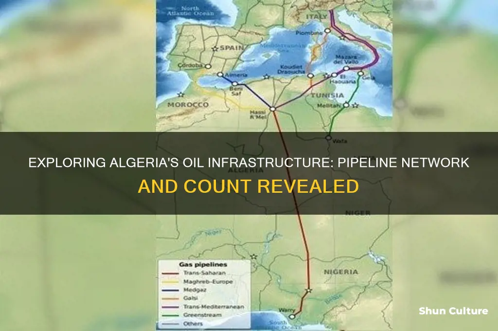 how many oil pipelines in algeria