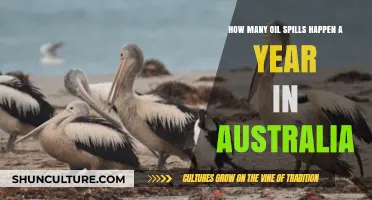 Annual Oil Spills in Australia: Frequency, Impact, and Prevention