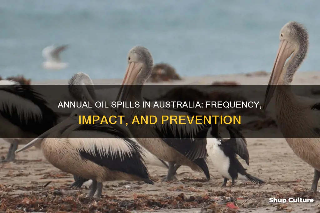 how many oil spills happen a year in australia