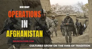 A Decade of Operations: Reflecting on Afghanistan's Complex War