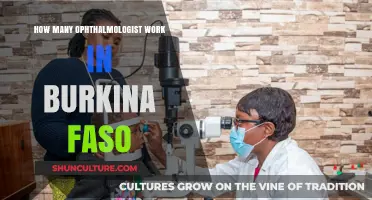 Exploring the Ophthalmologist Workforce in Burkina Faso: A Comprehensive Overview