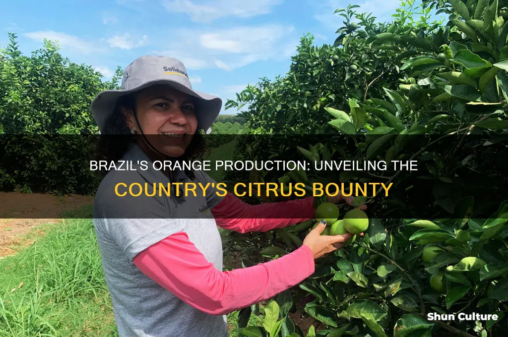 how many oranges grown in brazil