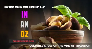 Organic Brazil Nut Kernels: Counting the Quantity in One Ounce