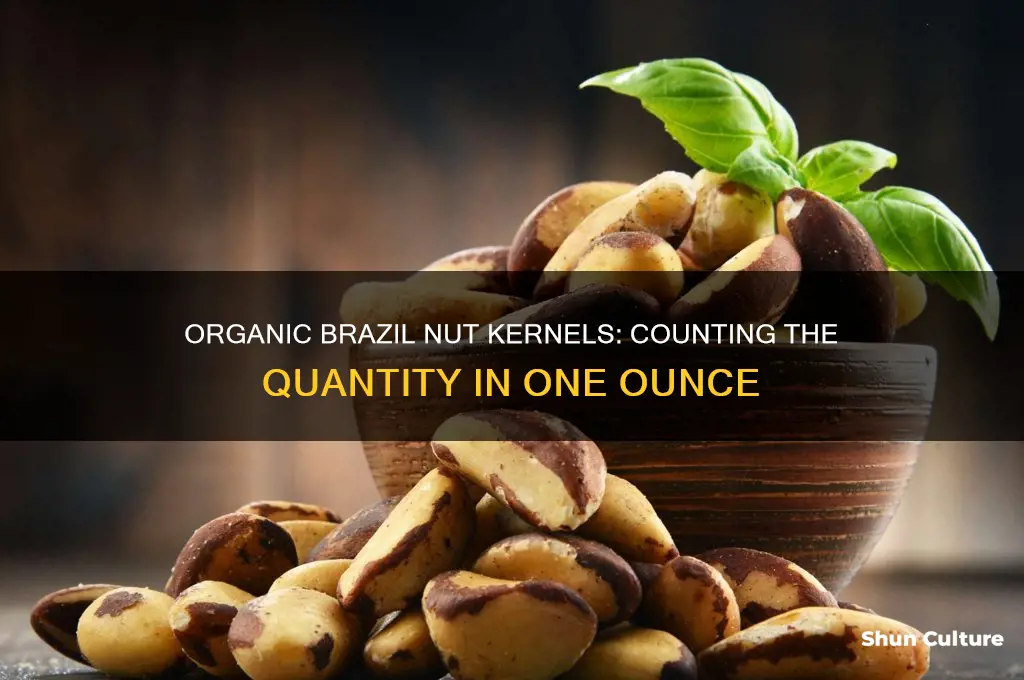 how many organic brazil nut kernels are in an oz