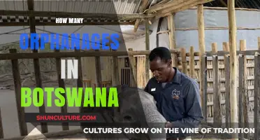 Orphanages in Botswana: Exploring the Number and Impact of Care Facilities