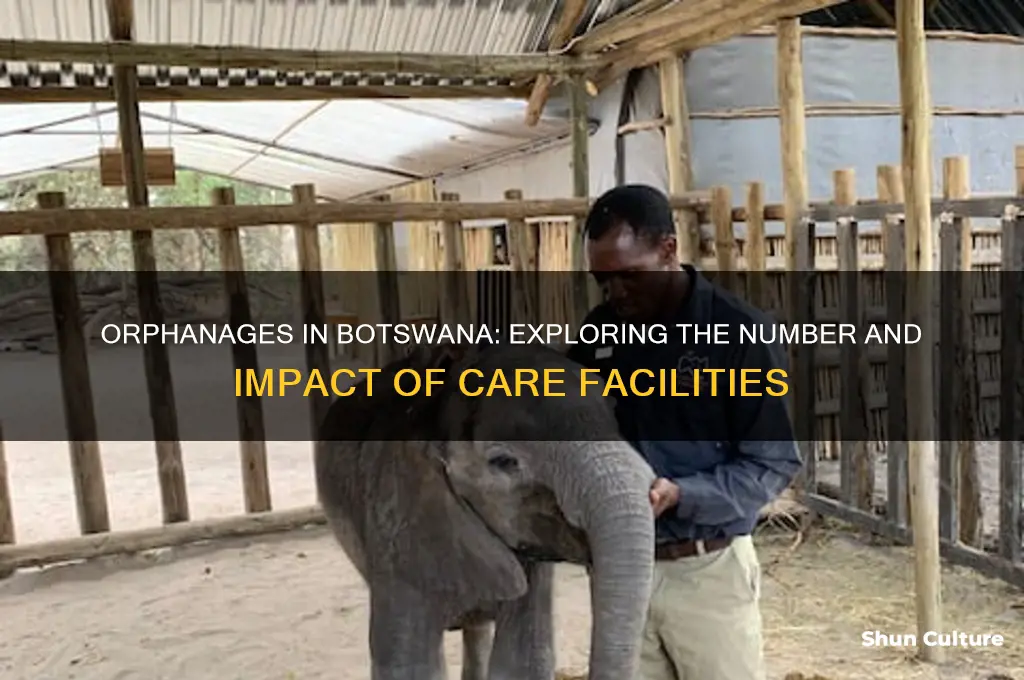 how many orphanages in botswana