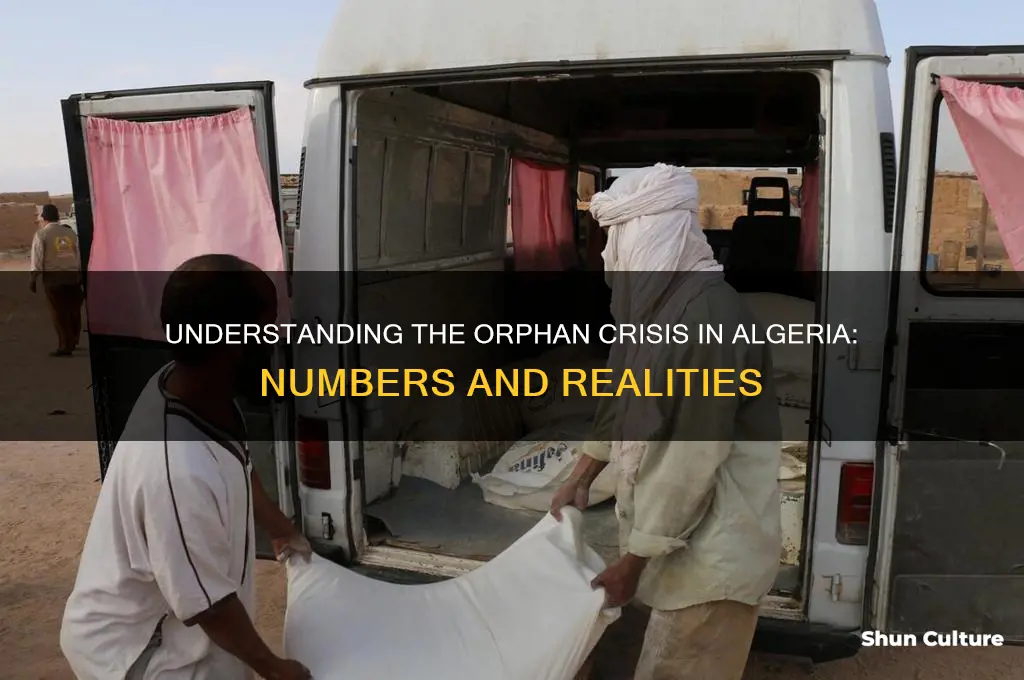 how many orphans are there in algeria africa